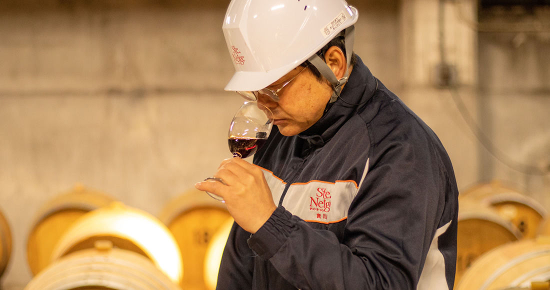Sainte Neige 概念 对葡萄酒的思考