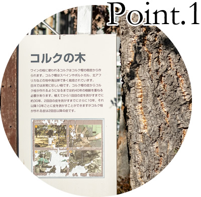 Sainte Neige酒庄酒庄介绍